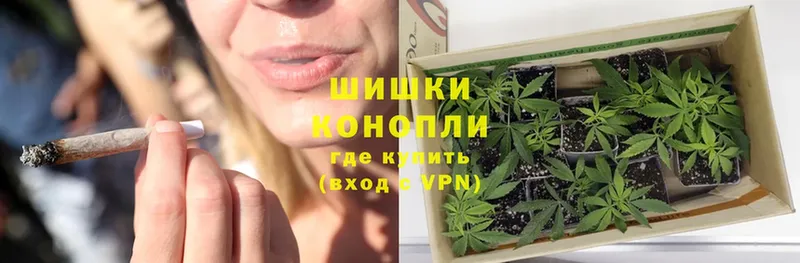 MEGA маркетплейс  Острогожск  Марихуана SATIVA & INDICA 